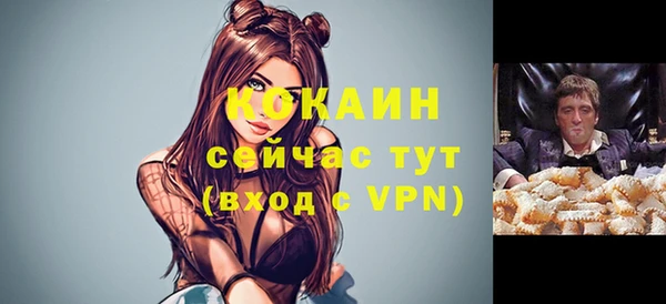стаф Осташков