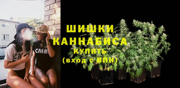 прущий лед Пестово