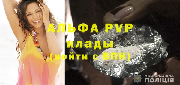 стаф Осташков