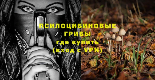 стаф Осташков