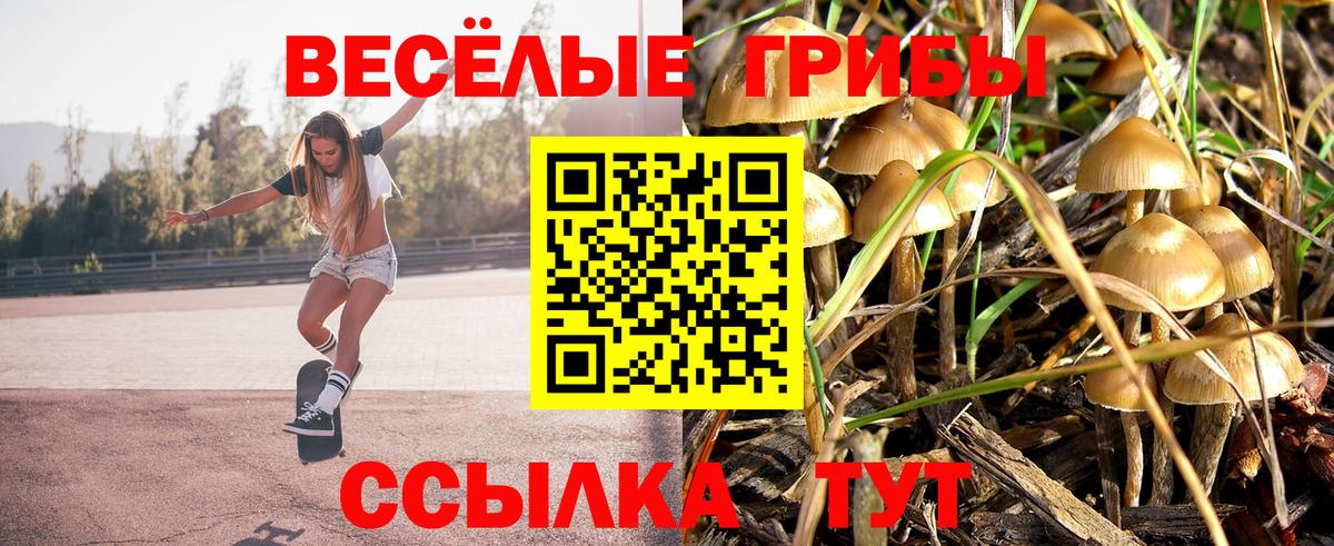 Псилоцибиновые грибы Psilocybine cubensis  Псилоцибиновые грибы прущие грибы  Вход с VPN  Краснокаменск 