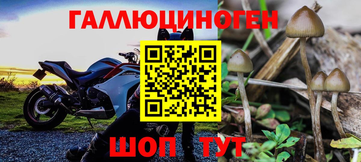 Псилоцибиновые грибы Cubensis  дарнет шоп  Краснокаменск 